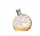 Hermes Eau Des Merveilles by Alice Charbin 100ml EDT W