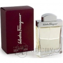 Salvatore Ferragamo Pour Homme EDT 100ml M