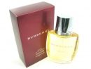 Burberry for Man - TESTER pánská EDT 100 ml